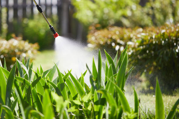 Tamper-Resistant Bait Stations for Rodents in Newburg