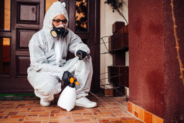 Attic and Crawl Space Rodent Treatment in Newburg