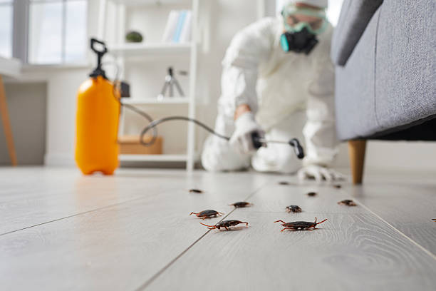 Commercial Rodent Management in Newburg